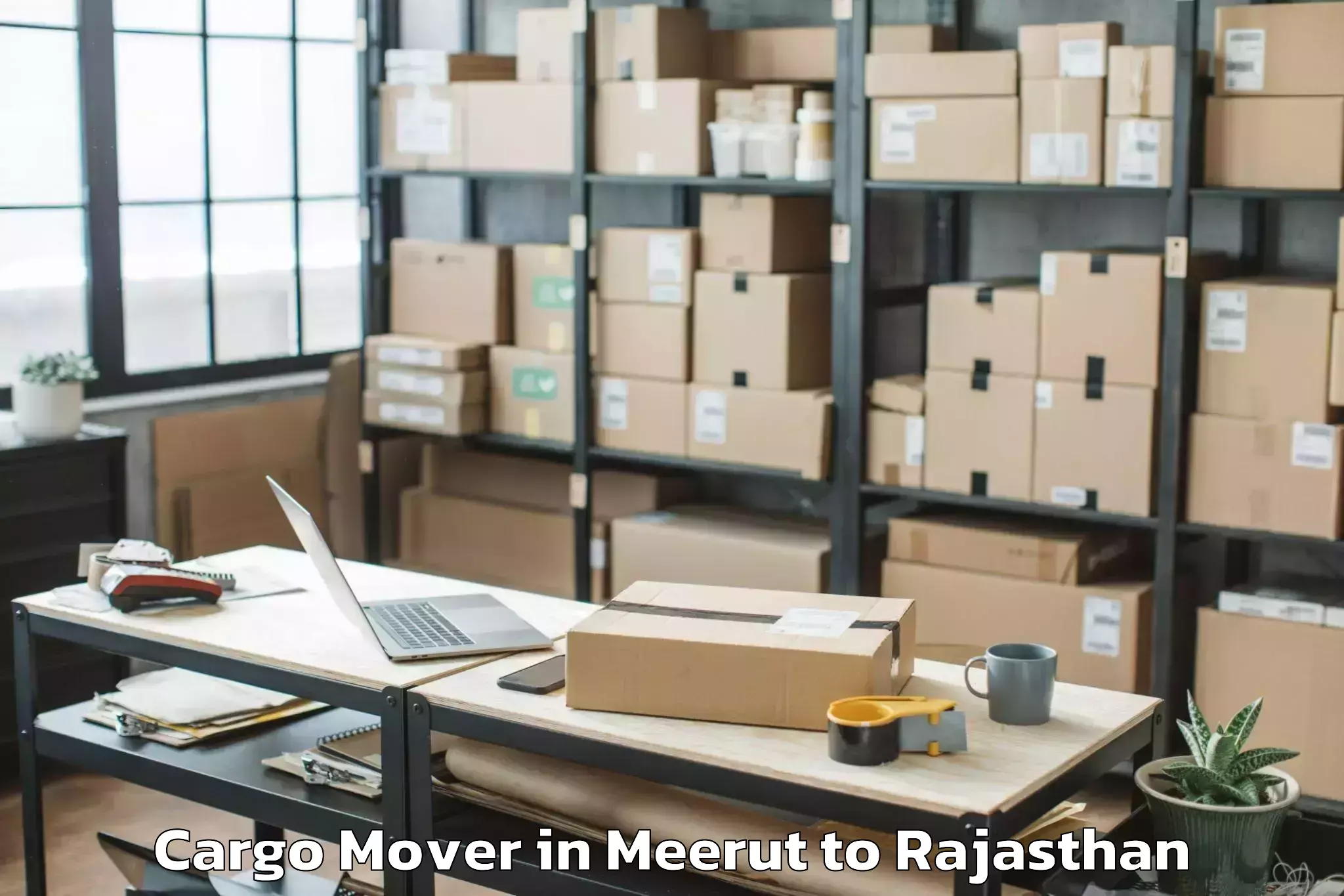 Top Meerut to Udaipur Airport Udr Cargo Mover Available